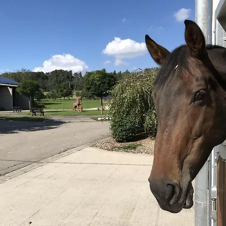 & Reiterhof Gut Weihersmuehle Отель 3*